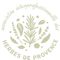 logo 10 variante clair